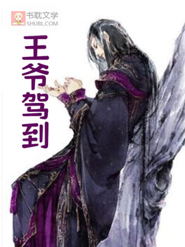 王爷嫁到